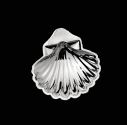 concha-bautismal-plata