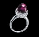 anillo-viceroy-plata-via-arche-scaligere