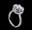 anillo-viceroy-plata-piazza-dei-signori