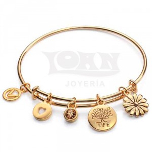 pulsera-viceroy-happiness-rigida-dorada-life